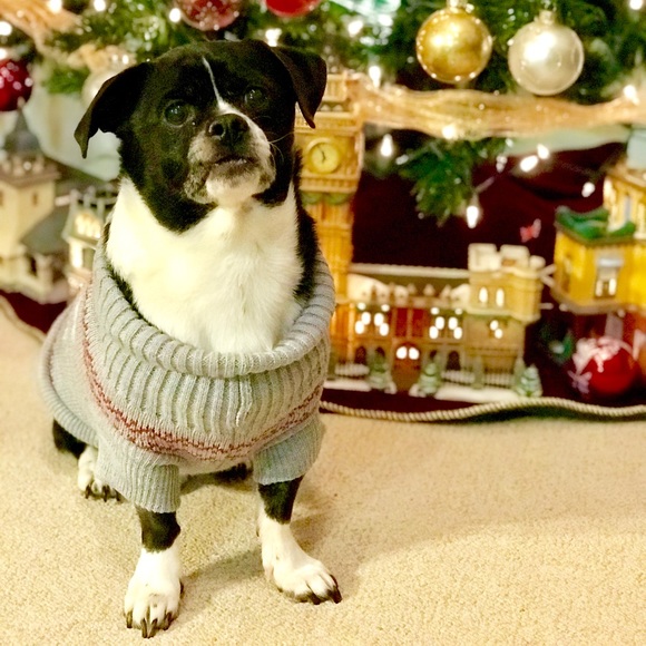 Meet your Posher, Mylene - Picture 2 of 2